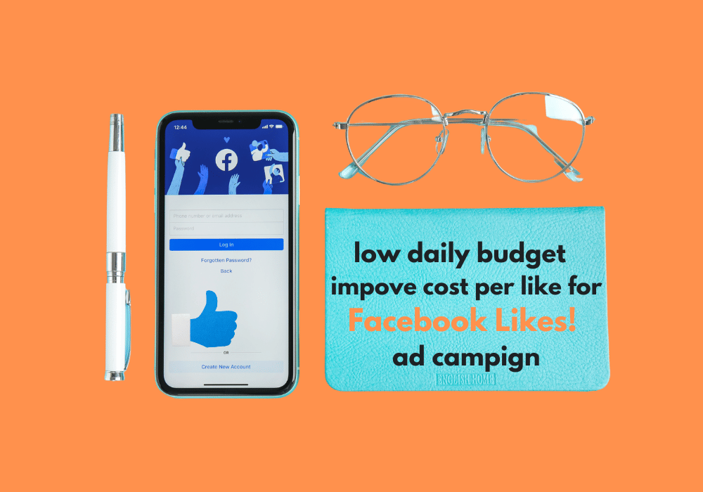 Daily Budget for Facebook Likes! You Won't Believe What Experiment Found!